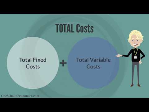 What are fixed costs and variable costs?