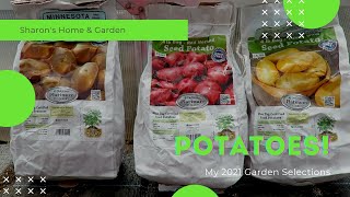 Seed POTATOES // What am I growing this year? // Where to buy seed potatoes