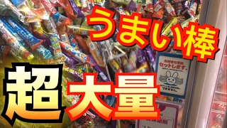 ぷっちょのボールバウンド クレーンゲームに3回チャレンジ ぷっちょのボールバウンド クレーンゲームに3回チャレンジ