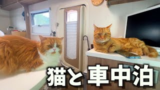 【車中泊】移住後に猫と旅に出てみたら素敵な花寺に辿り着きました③