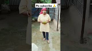 লাল লাল জ্যামবুরা কে কে আয় খাবি তোরা🍋🍋🥺🥺#shotrs #funny #comedy #trending #viral#ytshorts