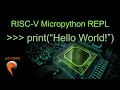 Risc-V Micropython Repl