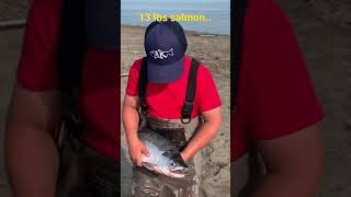 13 lbs catch by Dip netting at South Beach, Kenai, Alaska