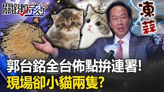 Terry Gou posted a number of co-signs! There were only two kittens among the people at the scene?