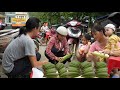 2 year living in forest, Harvest the sweetest and tastiest corn in the rainy season