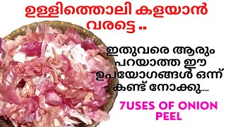 Uses of Onion Peel In Malayalam | ഉള്ളിത്തൊലി കൊണ്ടുള്ള 7 ഉപയോഗങ്ങൾ | Onion Skin Uses | Kitchen Tips