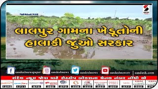 Jamnagar : લાલપુર ગામમાં અવિરત વરસાદના કારણે ખેડતો રોષે ભરાયા ॥ Sandesh News TV | Cyclone Tauktae