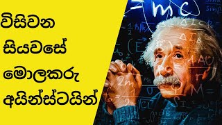 විසිවන සියවසේ මහා මොලකරු අයින්ස්ටයින්  | විශ්වය