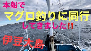 本船でマグロ釣りに同行して来ました‼️