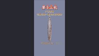 2025年1月香港隐世女藏家专场拍卖银元走势