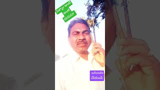 పెళ్ళాం తో తిప్పలు #funny #telugu #jokes #video #comedy #jokescomedy