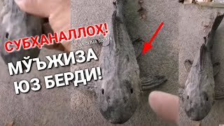 СУБҲАНАЛЛОҲ! СИЗ БУНИ КЎРГАНМИДИНГИЗ...?!