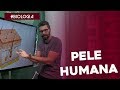 Biologia: a pele humana por Samuel Cunha