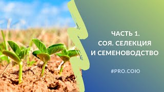 Часть 1. СОЯ. Селекция и семеноводство | Пять вечеров PRO.СОЮ