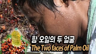 팜 오일의 두 얼굴 The Two faces of Palm Oil