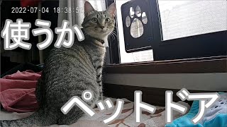 ベランダ網戸にペッドドアについて独り語り