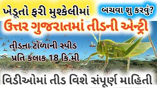 તીડ વિશે સંપૂર્ણ માહિતી. #જનરલ નોલેજ