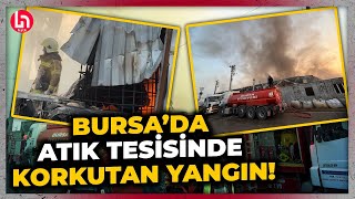 SON DAKİKA! Bursa'da geri dönüşüm tesisinde korkutan yangın! Ekipler müdahale ediyor!