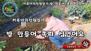 밭 만들어 쪽파 심었어요.끼륵이의 전원일기.끼룩아놀자 TV