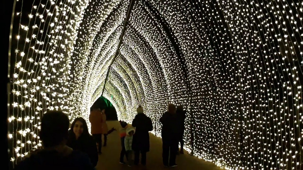 Chicago Botanic Garden - Lightscape 2019 - YouTube