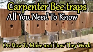 CARPENTER BEE TRAPS, How to make them and How they work, ALL YOU NEED TO KNOW