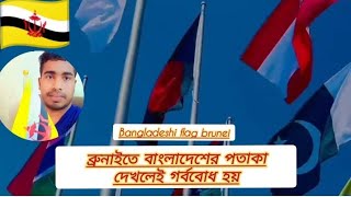 ব্রুনাই বাংলাদেশ বন্ধুত্বপূর্ণ 🇧🇳 নিজের দেশের পতাকা 🇧🇩 brunei Bangladeshi flag