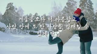 인연이라는 것에 대하여 / 김현태(낭송 우영식)