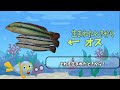 【生命のふしぎ】性別が変わる魚！？【海浜自然センター】