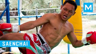 Saenchai Muay Thai Training | Muscle Madness