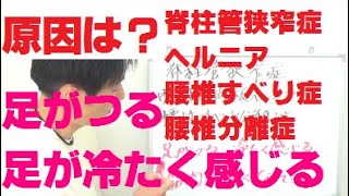 脊柱管狭窄症・腰椎ヘルニア・すべり症・分離症　足がつる・冷たく感じる原因は？広島の痛み・しびれ専門整体『かわら町整骨院』