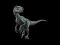 Blue/Velociraptor Roar