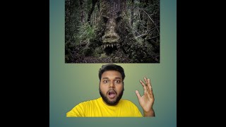 OMG ভারতের সবচাইতে বড় গাছ 😱 #youtubeshorts