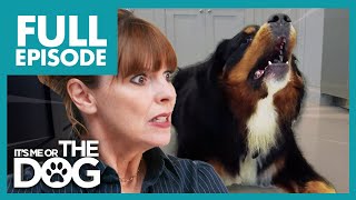 Uncontrollable Dogs Bark For Up To 40 Minutes | Full Episode | It's Me or the Dog