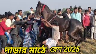 February 2025 সালের অসাধারণ ঘোড়া দৌড় দাড়ার মাঠে খাজা বাবার ঘোড়া স্থান