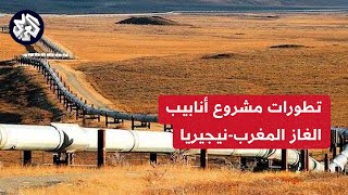 خط أنابيب الغاز المغرب - نيجيريا..  المشروع الضخم سيبدأ بربط موريتانيا بالسنغال والرباط