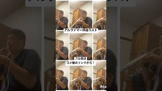 【多重録音】アルヴァマー序曲／J.Barnes のラスト演奏してみた#shorts #演奏してみた #吹奏楽 #トランペット #ポケットモンスター