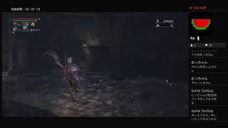 bloodborne 脳筋キャラ育成 ブラッドボーン