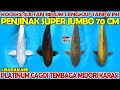 REVIEW PENJINAK KOLAM SULTAN 🔴 KOI JUMBO SIZE 70 CM JINAK TOTAL || DUTA KOI BLITAR