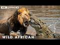 World's Deadliest: Africa's Most Brutal Survival Battles | Nature Animal Documentary