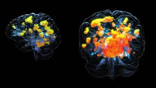 Visual Cortex Activation. 3D animation for holographic projection
