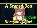 Inugami Korone - A Scared Dog Screams a lot