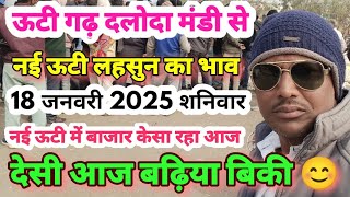 ऊटी गढ़ दलोदा मंडी से आज का नई लहसुन का भाव,18 जनवरी 2025 शनिवार |