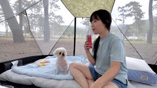 Cozy Solo Camping by the Sea with a Cute Dog | Korean Girl Camper