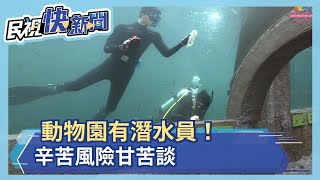 台北市立動物園也有潛水員！辛苦風險甘苦談－民視新聞