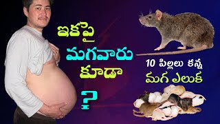 Can A Man Get Pregnant? మగవారు గర్భం ధరించటం సాధ్యమా?  | in Telugu | by Chekumuki