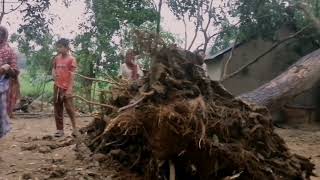 হঠাৎ ঝড়বৃষ্টি এসে আমাদের গ্রামের কতোই না খতি হইলো। Village Life With Mariya@@..