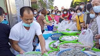 今天美麗的小助理初試啼聲表現不錯  台中豐原中正公園  海鮮叫賣哥阿源  Taiwan seafood auction