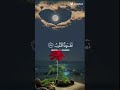 يالله❤️😌 اكسبلور لايك دويتو تصميمي