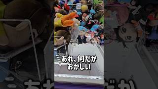 【事件発生】クレーンゲームの山積み設定で起きた新たな出会い #クレーンゲーム #マッシュル #ビンバン