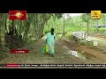 டயகம பகுதியில் அதிகரித்துள்ள குரங்குகளின் தொல்லை